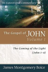 The Gospel of John : an expositional commentary