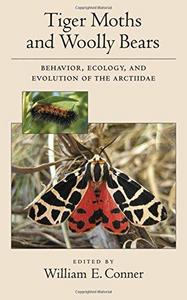 Tiger Moths and Woolly Bears : Behavior, Ecology, and Evolution of the Arctiidae