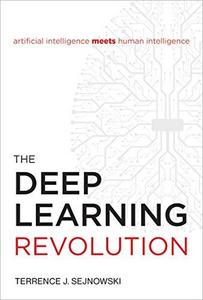 The deep learning revolution