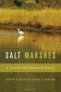 Salt Marshes : A Natural and Unnatural History