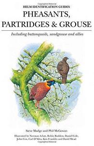 Pheasants, Partridges & Grouse: Including Buttonquails, Sandgrouse and Allies (Helm Identification Guides)