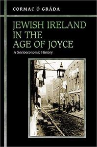 Jewish Ireland in the age of Joyce : a socioeconomic history