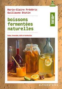 Boissons fermentées naturelles : sodas, limonades, kéfirs et kombuchas