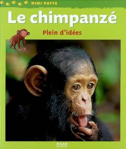 Le chimpanzé : plein d'idées