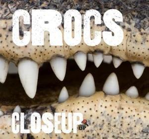 Crocs Close Up, Snakes Close Up