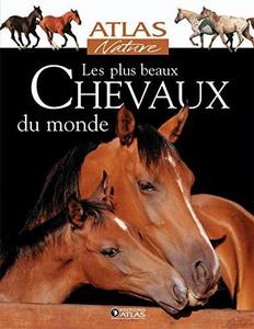 Les plus beaux chevaux du monde