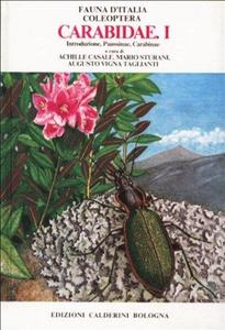 Fauna d'Italia Vol. XVIII : Introduzione, Paussinae, Carabinae