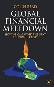 Global Financial Meltdown : How We Can Avoid The Next Economic Crisis