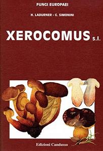 Xerocomus s.l.