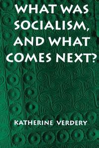What was Socialism, and what Comes Next?