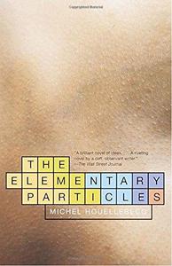 The Elementary Particles