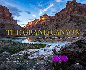 The Grand Canyon : Between River and Rim