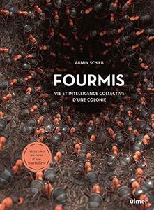Fourmis : vie et intelligence collective d'une colonie