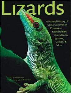 Lizards: A Natural History of Some Uncommon Creatures:Extraordinary Chameleons, Iguanas, Geckos, & More