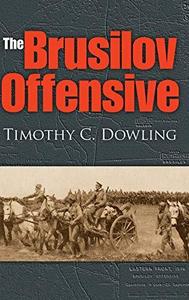 The Brusilov offensive