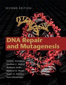 DNA Repair and Mutagenesis (textbook) cover