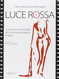 Luce rossa. La nascita e le prime fasi del cinema pornografico in Italia
