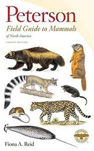 A field guide to mammals of North America north of Mexico
