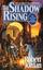 The Shadow Rising (The Wheel of Time, #4)
