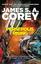 Persepolis Rising (The Expanse, #7)