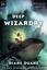 Deep Wizardry (Young Wizards, #2)