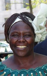 Wangari Muta Maathai cover