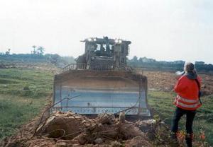Rachel Corrie cover