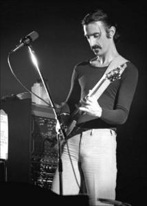 Frank Zappa cover