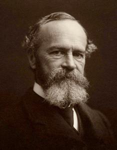 William James cover
