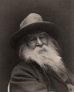 Walt Whitman cover