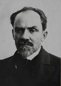Stefan Żeromski cover