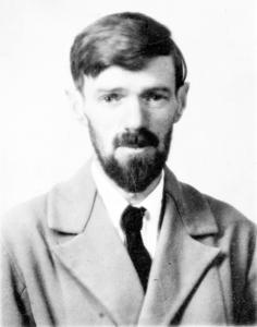 David Herbert Lawrence cover