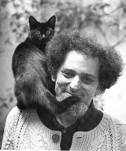 Georges Perec cover