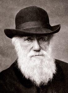 Charles Darwin cover