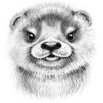 LaFroggie avatar